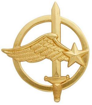 Insigne Béret Or Commando de l'Air (228)